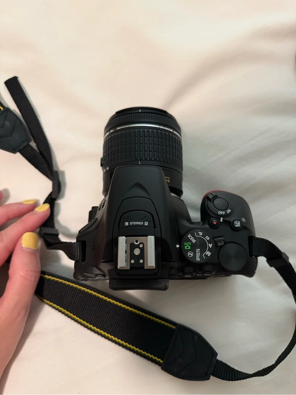 Nikon D5600 Camera + Lenses + Case